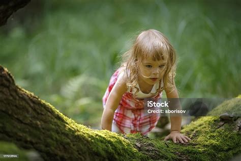  Die Mädchen im Wald: A Magical Tale of Lost Innocence and Nature's Enigmatic Embrace