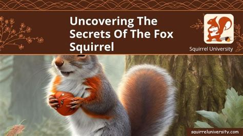  “Kenari, the Talking Squirrel”: Uncovering the Secrets of Nature and Human Greed